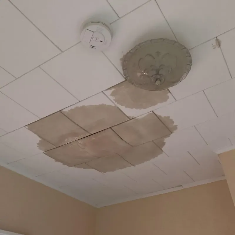 Ceiling Water Damage Repair in Stetson, ME