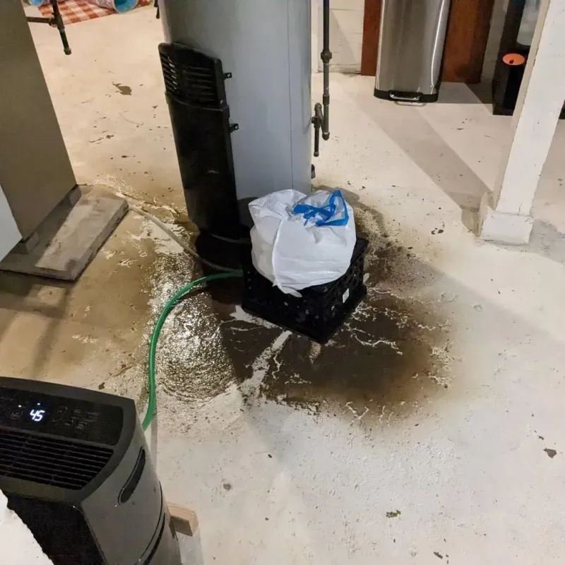Sewage Backup Cleanup Service in Stetson, ME